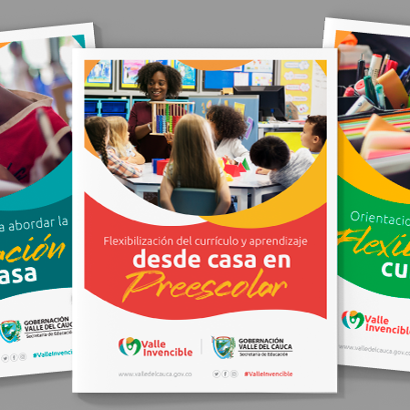 Guidelines for Curricular Flexibilization